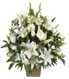Sepet i�erisinde lilyum gerbera ve lusentuslardan olu�an aranjman<br>Sepet i�erisinde Beyaz lilyum , lusyentus ve beyaz gelberalardan olu�an aranjman , Ortalama boyutlar� 45x55 cm 