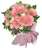 Pembe renkli gelberalardan olu�an buket <br>Pembe renkli gelberalardan olu�an yuvarlak buket , Ortalama �r�n boyutlar� 45x45 cm