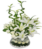 Akvaryumda bambu Ve lilyumlar<br>Akvaryum cam vazo i�erisinde 21 adet beyaz g�l 5 kandil lilyum ve4 Adet sipiral bambudan olu�an aranjman . Ortalama �r�n boyutlar� 50x75 cm