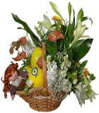 Sepet i�erisinde lilyum  , �ebboy ve oyuncakdan olu�an yeni bebek aranjman �<br>Lilyum Antorium oyuncak ve balondan olu�an sepet aranjman ortalama boyutlar� 50x55cm