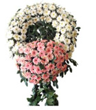 Pembe beyaz �i�ekerden olu�an cenaze �elengi<br>Pembe ve Beyaz gerberalardan olu�an cenaze �elengi ortalama �r�n boyutlar� 100x180 cm