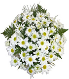 Beyaz papatyalardan olu�an buket<br>Beyaz papatyalardan olu�an buket , ortalama �r�n boyutlar� 450x55 cm