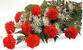 9 Adet k�rm�z� karanfiller den olu�an kad�nlar g�n�ne �zel buket 