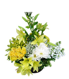 Sar� lilyum ve sar� g�llerden olu�an aranjman<br>Sepet i�erisinde 8 adet sar� g�l , 1 Dal sar� lilyum ve beyaz gelberalardan olu�an aranjman , Ortalama �r�n boyutlar� 55x65 cm 