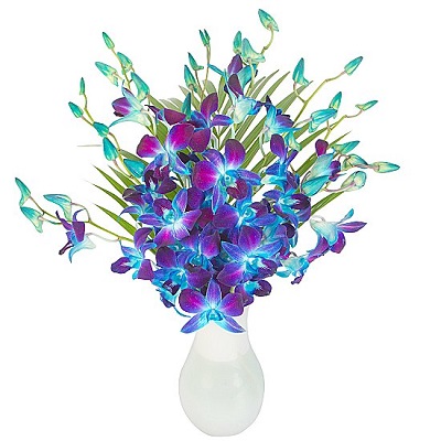 Mavi Renkli Dendrobium Buket