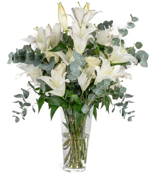 Lilyum ve Beyaz Güller