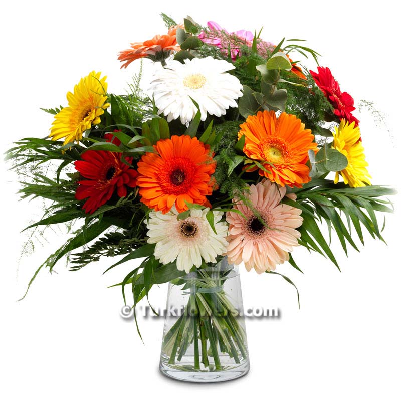 Vazoda Renkli Çiçekler